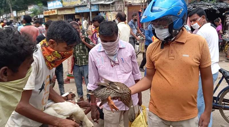 হাঁসের মাংসে করোনা জয় সম্ভব! বিশ্বাসে ভর করেই মনসা পুজোয় ১০ লক্ষ টাকার ব্যবসা পুুরুলিয়ায়