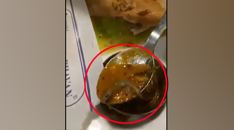 ঝাঁ চকচকে রেস্তরাঁর খাবারে মিলল টিকটিকি! রেগে আগুন ক্রেতা