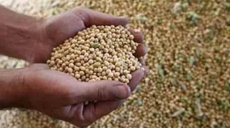 Centre alerts states, industry to be vigilant about ‘mystery seed parcels’