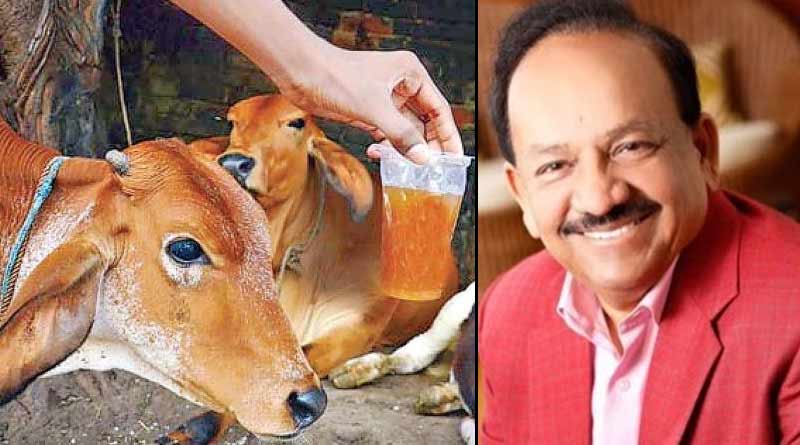 Bangla News: Cow urine not so harmful, says central health minister Harsh Vardhan ।Sangbad Pratidin