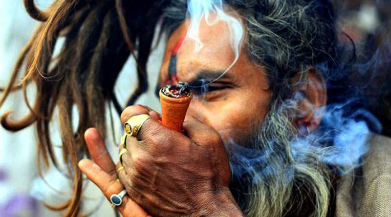 Karnataka: Marijuana served as prasada in many temples