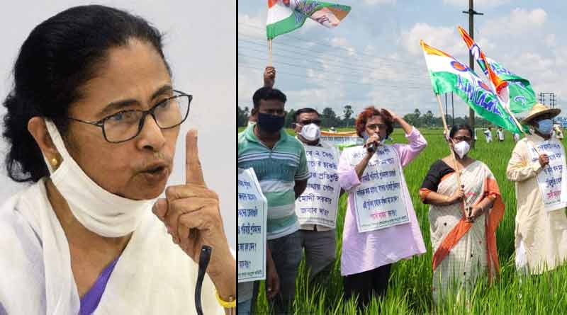 ‘সিঙ্গুরে কৃষি-শিল্প দুই-ই হবে’, কেন্দ্রের নয়া কৃষক বিরোধী নীতির প্রতিবাদে বার্তা মমতার