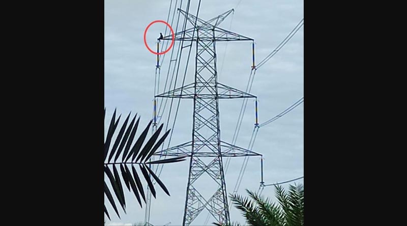 স্বামীর সঙ্গে ঝগড়া, অভিমানে হাইটেনশন টাওয়ারে চড়ে বসলেন মহিলা, তারপর…