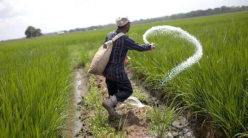 farmers allege fertilizer price hike, Jharkhand govt suspends 500 dealers
