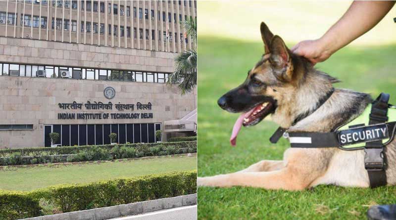 IIT-Delhi ad for dog handler post creates buzz on social media