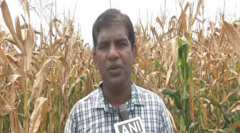Man shuns USD 100,000 job in USA to start farming in India