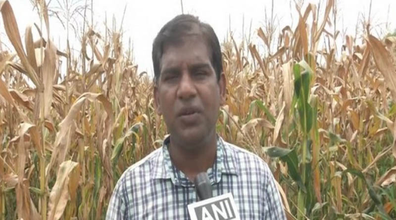 মন টেনেছে কৃষিকাজ, বিদেশে মোটা বেতনের চাকরি হেলায় ছেড়ে দেশে ফিরলেন এই ব্যক্তি