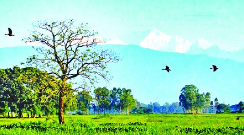 Kanchenjunga seen from Tetulia, Bangladesh as early this year due to better environment after lockdown| Sangbad Pratidin