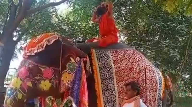 ধপাস! যোগাসন শেখাতে গিয়ে হাতির পিঠ থেকে পড়েই গেলেন রামদেব! ভাইরাল ভিডিও
