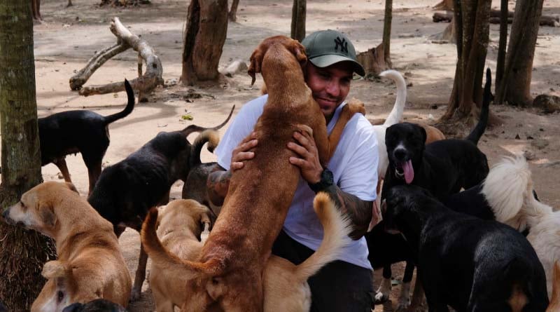 ‌Man opened Mexico home to 300 dogs to shelter them from Hurricane Delta | Sangbad Pratidin‌‌