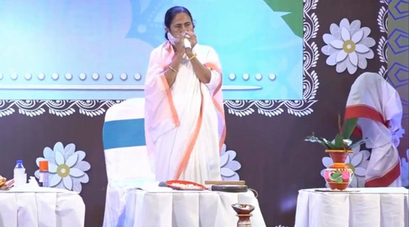 শঙ্খ বাজিয়ে নবান্ন থেকেই দশভুজাকে আহ্বান, ভারচুয়ালি ১১০ টি পুজোর উদ্বোধন করলেন মুখ্যমন্ত্রী