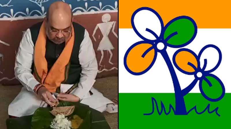 ‘বাংলা বিরোধী অমিত শাহ’, স্বরাষ্ট্রমন্ত্রীর সফরের দিনই পালটা প্রচার তৃণমূলের
