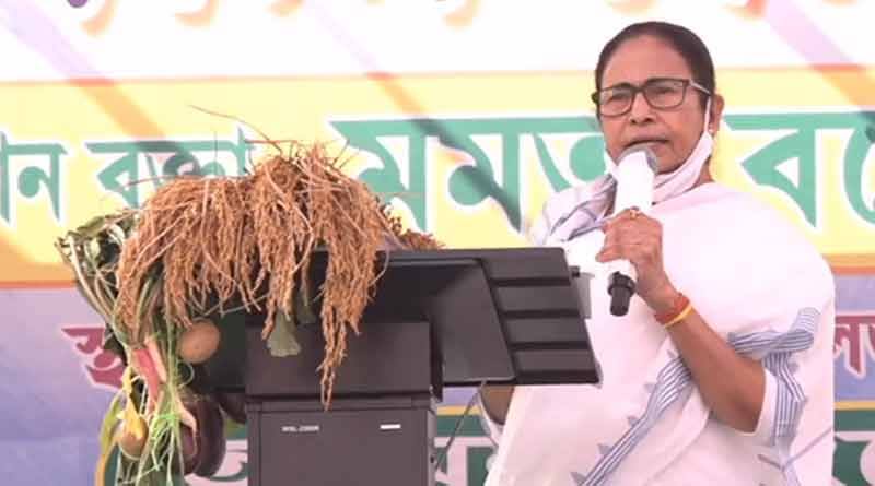 শুভেন্দুর গড়ে সভা থেকে কী কী বার্তা দিলেন মমতা? দেখে নিন একনজরে
