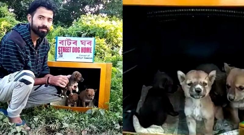 টেলিভিশন সেট দিয়ে পথকুকুরদের ‘বাড়ি’! অসমের যুবকের অনন্য কীর্তি ভাইরাল নেটদুনিয়ায়