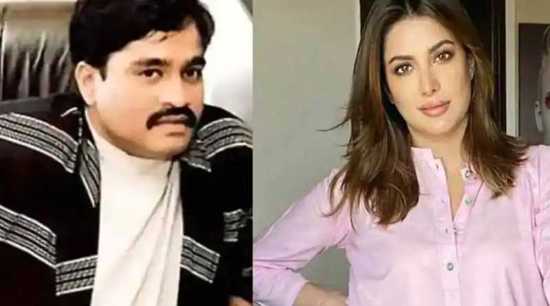 Underworld don Dawood Ibrahim's rumoured girlfriend Mehwish Hayat wants to marry this Pakistani politician | Sangbad Pratidin