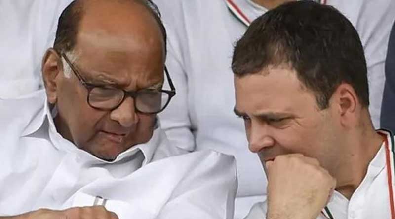 Sharad Pawar's comments on Rahul Gandhi was 'fatherly' advice, says NCP leader | Sangbad Pratidin