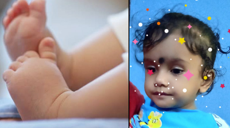 মিরাকল! পর্ণশ্রীর চারতলার ছাদ থেকে পড়ে আহত একরত্তি সুস্থ হয়ে ফিরল বাড়ি