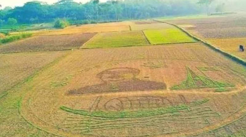 বাংলাদেশের সরষে খেতে বঙ্গবন্ধুর প্রতিকৃতি এঁকে তাক লাগালেন কৃষক!