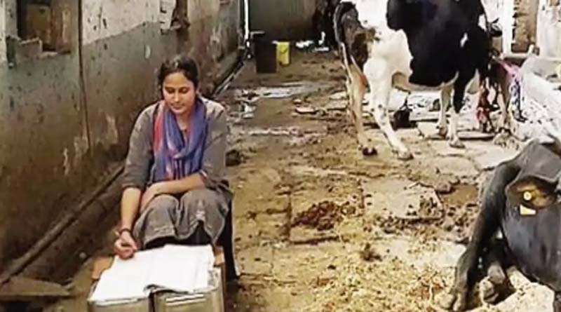 ‌গোয়াল ঘরে পড়াশোনা করেই বিচারকের আসনে! তাক লাগালেন দুধ বিক্রেতার মেয়ে