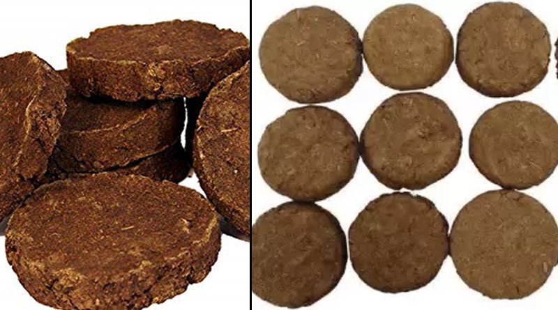 Customer buys and eats cow dung cakes, his review goes viral| Sangbad Pratidin