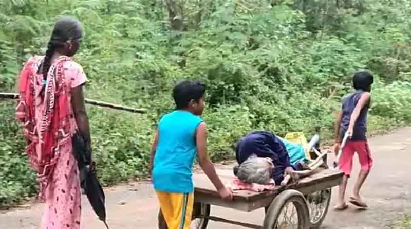 Twins help old woman get pongal hamper by carry her on pushcart in Tamil Nadu | Sangbad Pratidin