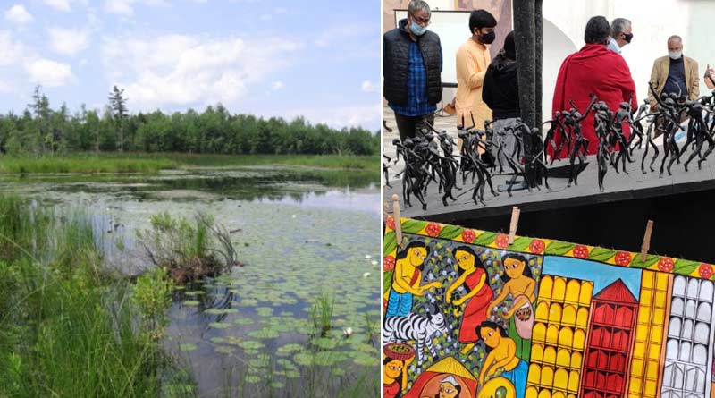 Environment news: Workshop on conservation of wetlands in Kolkata |SangbadPratidin