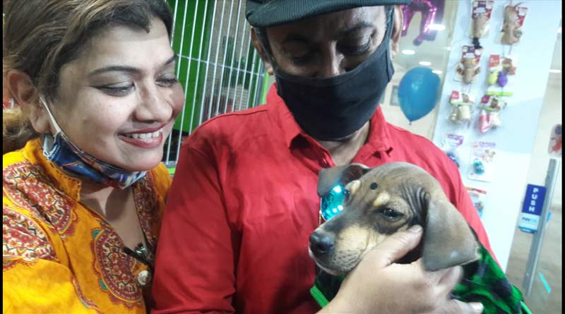Kolkata: Man who works in Indian railways, leaving job for the love of dogs | Sangbad Pratidin