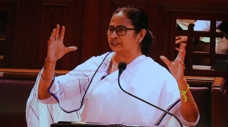 Mamata Banerjee: দিল্লি সফরের আগেই মন্ত্রিসভার বিশেষ বৈঠক ডাকলেন মুখ্যমন্ত্রী