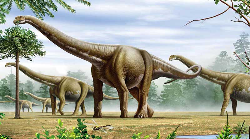 New study says comet from edge of solar system killed the dinosaurs | Sangbad Pratidin