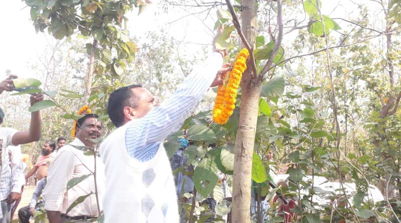 People in Jhargram celebrate Valentines' Day buy caring trees and promising to save forest |SangbadPratidin