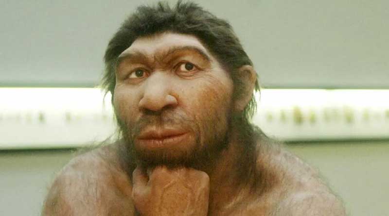 Flip of Earth's magnetic poles linked to end of Neanderthals, find scientists | Sangbad Pratidin