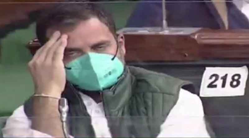 Rahul Gandhi Looked 'Bored' During Budget 2021 So Naturally Twitter Turned Him into a Meme | Sangbad Pratidin