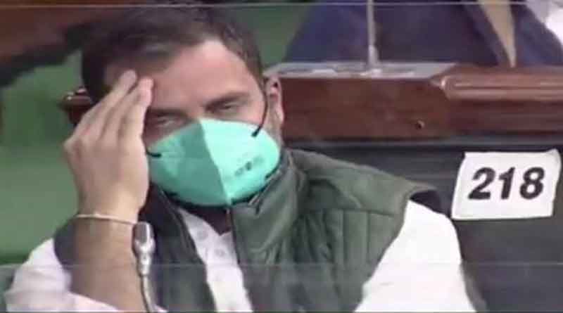 বাজেট নিয়ে জোর চর্চা সোশ্যাল মিডিয়ায়, রাহুলকে নিয়ে মশকরায় মজে নেটিজেনরা