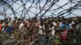 Bangladesh-Myanmar hold meet over Rohingya issue | Sangbad Pratidin
