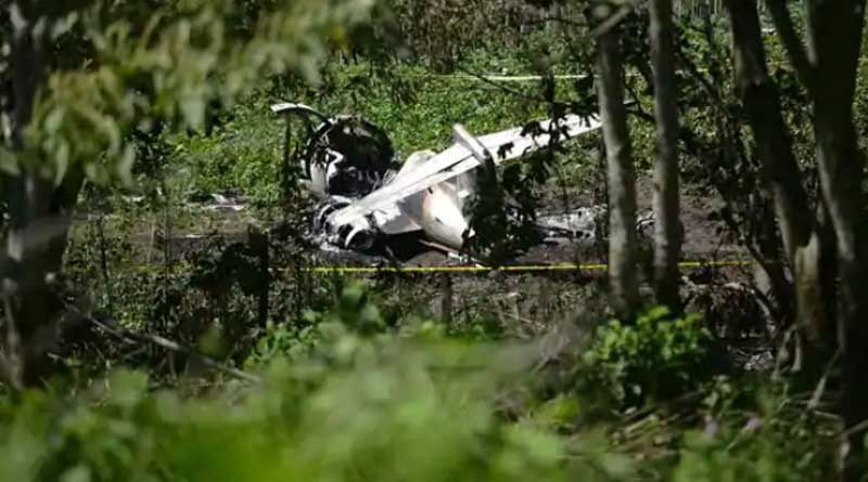 Air Force Plane Crash Kills 6 In Mexico's Veracruz State | Sangbad Pratidin