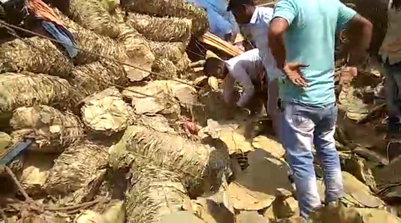 শালপাতার সন্ধানে গিয়ে মর্মান্তিক পরিণতি, দুমকায় পথ দুর্ঘটনায় মৃত মালদহের ৩ যুবক