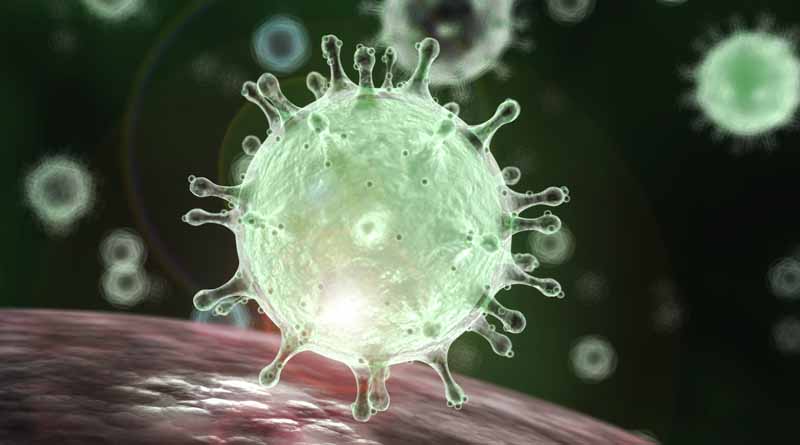 Third wave of Corona virus can be prevented, says Principal Scientific Advisor