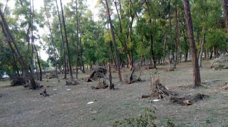 বন্ধ জেলিংহামে ফের বাজবে সাইরেন, স্বপ্ন চোখে নন্দীগ্রাম