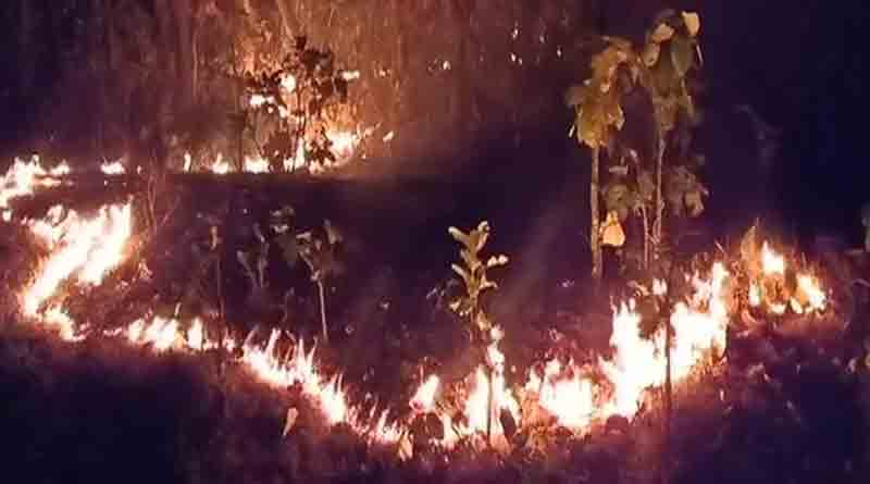 Forest Fires Continue to Rage in Similipal biosphere reserve | Sangbad Pratidin