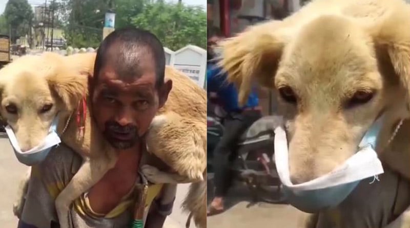Man gives his only mask to the dog, video goes viral । Sangbad Pratidin