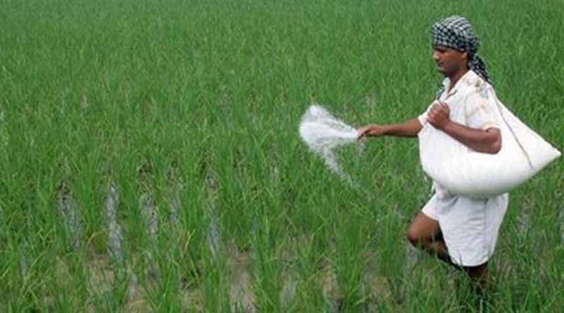 The Centre directed fertilizer companies not to increase the maximum retail price of non-urea fertilizers । Sangbad Pratidin
