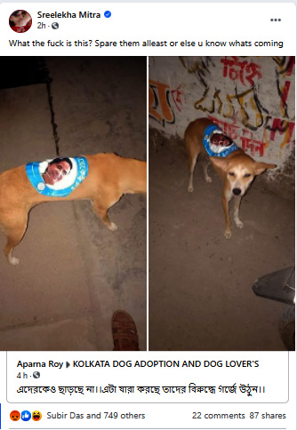 TMC sticker on street dog