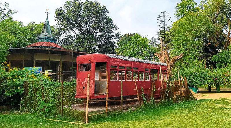 দর্শকদের জন্য ট্রামশপ চালু করছে চিড়িয়াখানা কর্তৃপক্ষ, কী কী থাকছে সেখানে?
