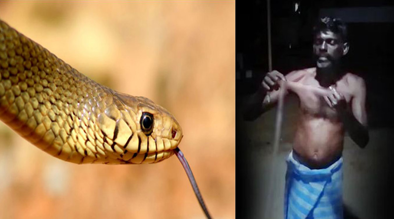 Tamil Nadu man arrested for eating snake, claims it 'keeps Covid at bay' | Sangbad Pratidin