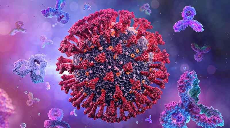 Coronavirus: India reports 9,765 new cases, 477 deaths | Sangbad Pratidin