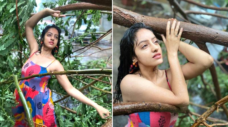তওকতের তাণ্ডবে ভেঙে পড়া গাছের সামনে উদ্দাম নাচ অভিনেত্রীর, ক্ষিপ্ত নেটিজেনরা