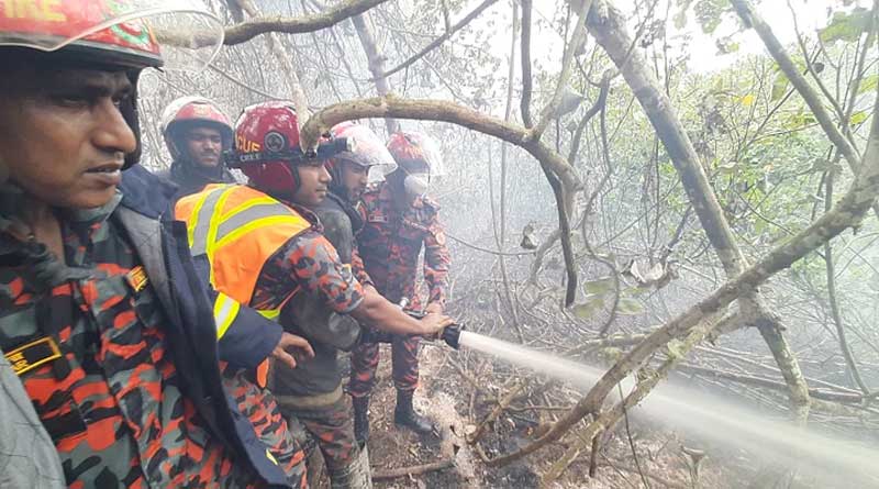অবশেষে আগুন নিভল সুন্দরবনে, রক্ষা পেল বিশ্বের বৃহত্তম ম্যানগ্রোভ অরণ্য