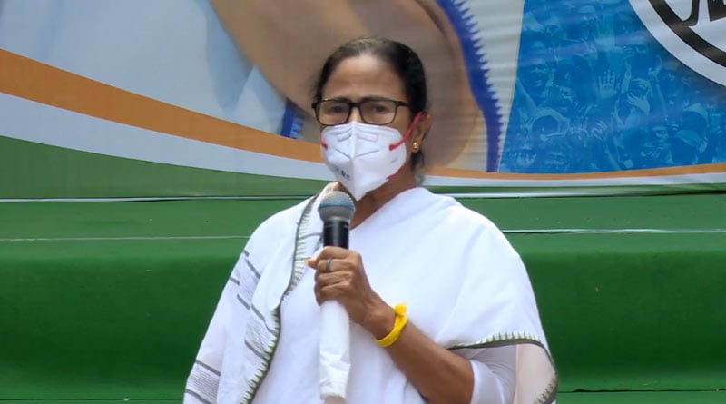 Mamata Banerjee's political instinct is god gifted | Sangbad Pratidin