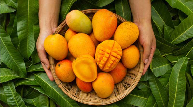Bangladesh to eport mangoes to 28 countries | Sangbad Pratidin