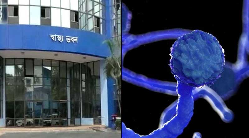 মিউকরমাইকোসিসকে ‘মহামারী’ ঘোষণা রাজ্যের, চিকিৎসায় মানতে হবে বিশেষ বিধি
